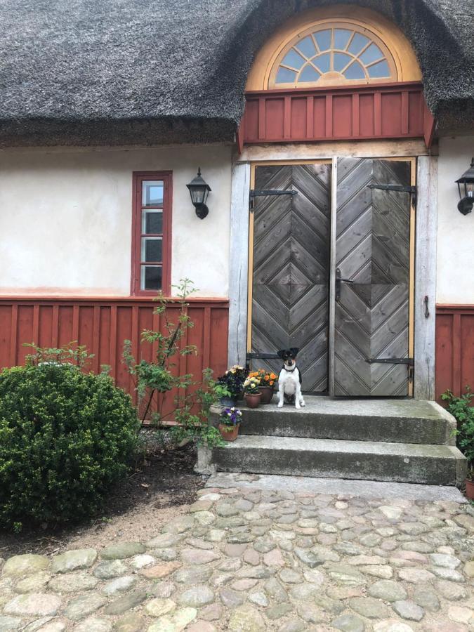 Vasatorps Matologi Bed & Breakfast Helsingborg Luaran gambar